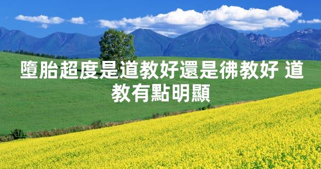 墮胎超度是道教好還是彿教好 道教有點明顯